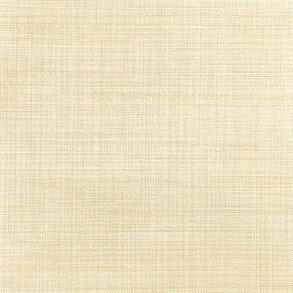 Ткань для рулонных штор на проем Benone 7858 - изображение 1 - заказать онлайн в салоне штор Benone в Протвино
